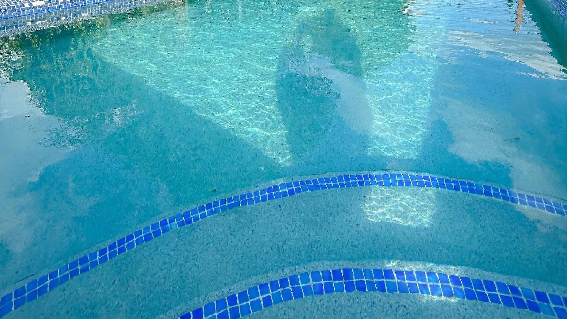 City View New Kingston Apartment W Pool ジャマイカ